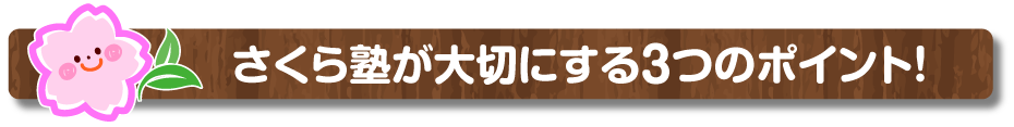 さくら塾がかかげる3つのポイント